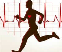 Diagnostyka serca: PRÓBA WYSIŁKOWA