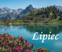 Grafik pracy lekarzy w LIPCU 2025