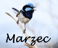 Grafik pracy lekarzy w MARCU 2026